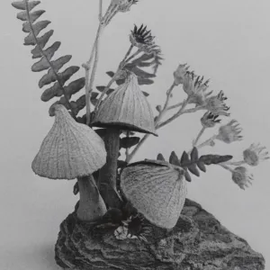 Garden Guild artwork