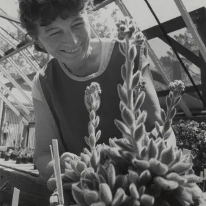 Garden Grower, Jean Palmer-Carpinter