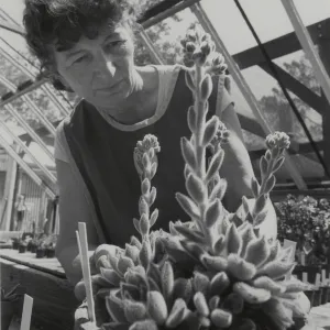 Garden grower, Jean Palmer-Carpinter
