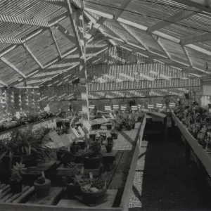 Garden Growers Nursery