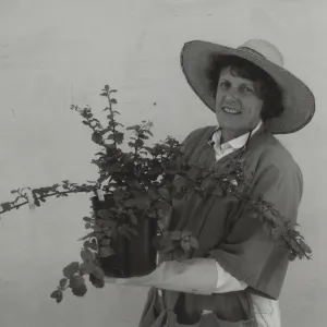 Bettine Wallin, Garden Growers