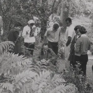 Visitors at Santa Barbara Botanic Garden