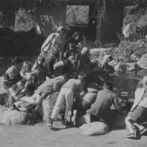School children enjoying the pond at the Garden
