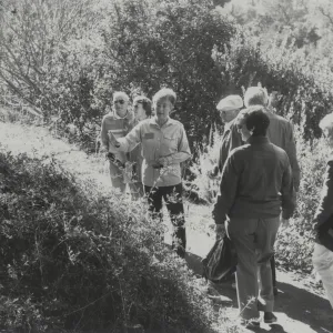 Docent tour in the Garden