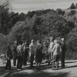 Docent tour in the Garden