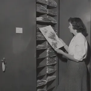 Mrs. J.B. Wheeler in the new Herbarium