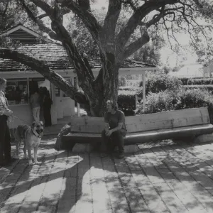 Garden entrance oak and Gift Shop, 1977
