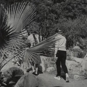 visitors in the Garden