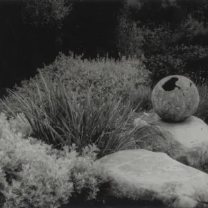 Isabelle Green garden design