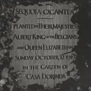 Sequoia gigantea plaque at Casa Dorinda