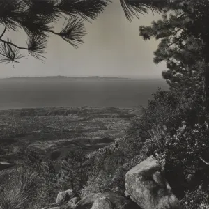 The coast at Santa Barbara from La Cumbre Peak, with Santa Cruz Island in the background, Eastwood manzanita and Coulter pine in the foreground