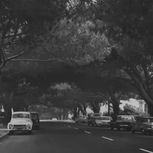 Santa Barbara city street