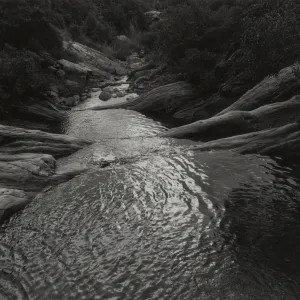 Mission Canyon stream
