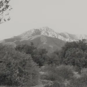 SBBG Porter trail and view to Arlington Peak