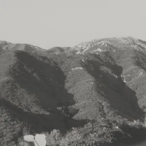 Chaparral slopes above Mission Canyon