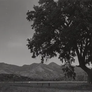 Santa Ynez Valley