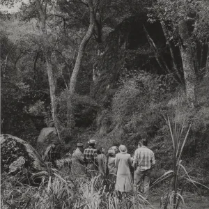 Kinevan's Canyon, Santa Ynez Mountains
