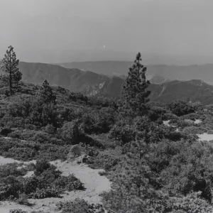 Coche Trail summit