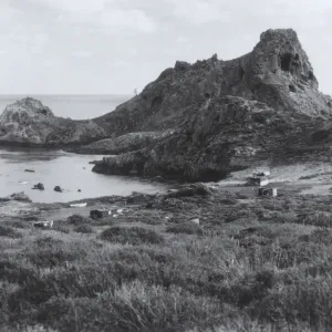 Baja California, © William Dewey