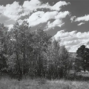 Sierra Nevada Mountains, © Steven Timbrook