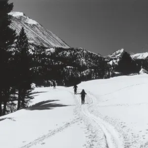 Skiing in the Sierras, © Steven Timbrook