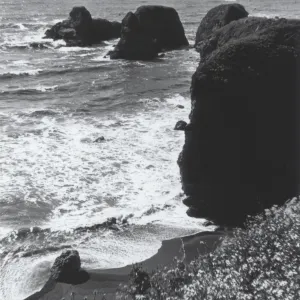 Mendocino Coast, © J.R. Haller