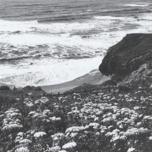 Mendocino Coast, © J.R. Haller