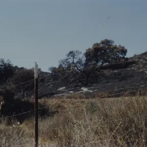 burrend slope after the Marre Fire