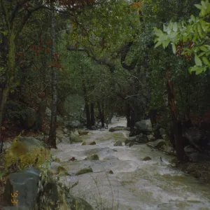 Mission Creek