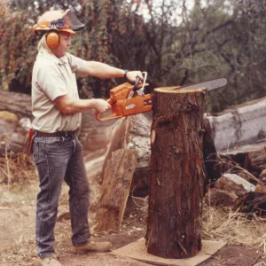 Dave Kershaw using a chainsaw to create a new wood bench