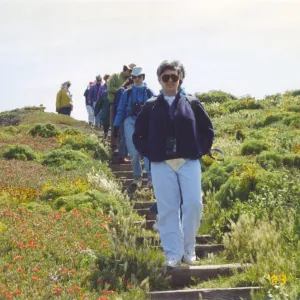 SBBG Field Trip to Anacapa Island