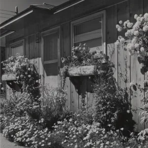 © Josef Muench