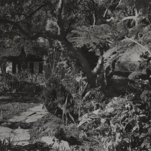 © Josef Muench