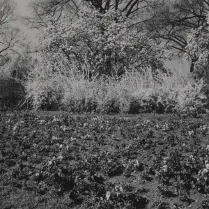 © Josef Muench