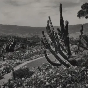 © Josef Muench