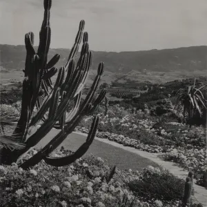 © Josef Muench
