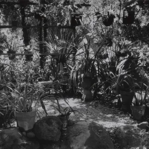 © Josef Muench