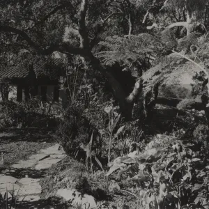 © Josef Muench
