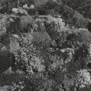© Josef Muench
