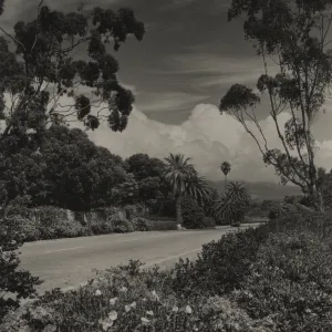 © Josef Muench