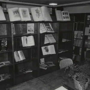 Muller Reading Room Interior at Opening