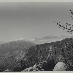 viewing west from Cathedral Peak, second year after Coyote Fire