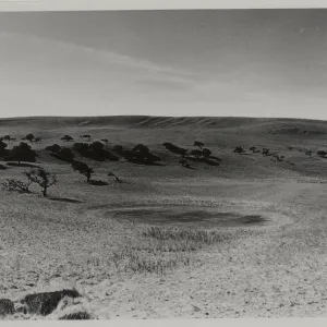 dry 'Vernal pond northwest of Los Alamos'