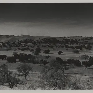 Chamberlain Ranch