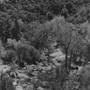 Sisquoc River at Heath Camp area, riparian woodland and chaparral, horse