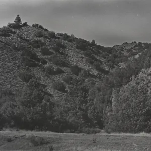 Santa Barbara Canyon?
