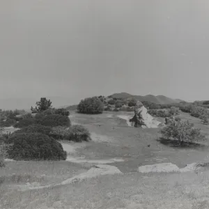 above Painted Camp on Montgomery Potrero, Sierra Madre Mountains