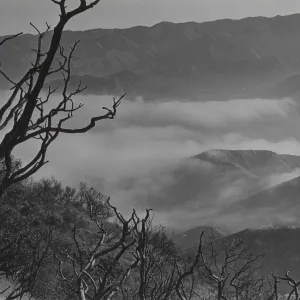 fog in Sisquoc River Valley, north of Hurrican Deck