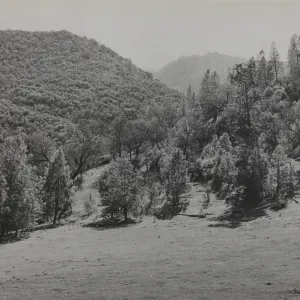 Manzana, north and west of Castle Rock