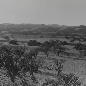 Los Alamos